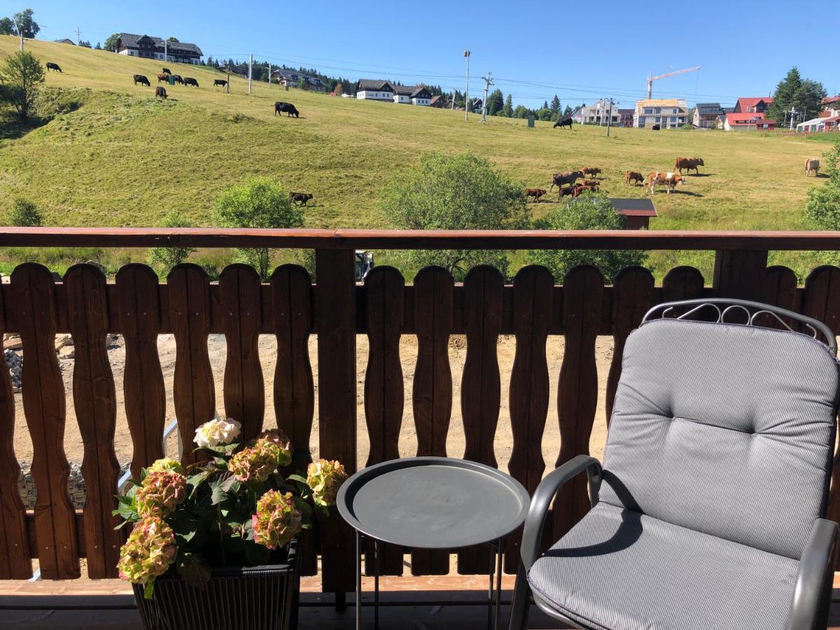 Strunzova Pila - S Wellness 2,06 A 3,03 Appartement Kvilda